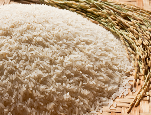 Pure, organic rice nurtured with eco-friendly practices—preserving nature while bringing you wholesome nourishment.