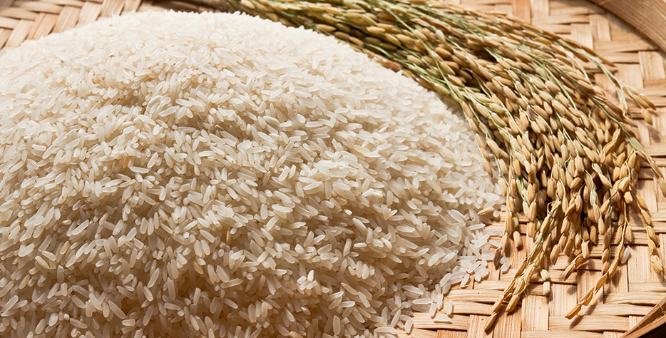 Pure, organic rice nurtured with eco-friendly practices—preserving nature while bringing you wholesome nourishment.